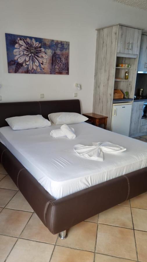 Panorama Apartment Armenistis (Ikaria)